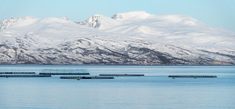 Snow-covered mountains with fish farms in the foreground on a clear day.