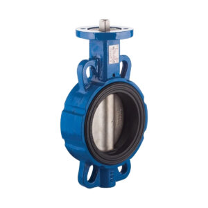 Blue industrial butterfly valve with a metal disk visible inside, mounted on a white background.