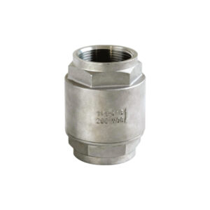 Stainless steel check valve with threaded connections, marked "1/2-316" and "200 wog" on its body, insulated on a white background.