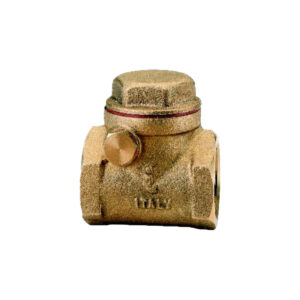 Brass swing check valve with a textured golden finish and red details, displayed on a white background.